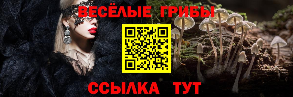 Верхняя Салда  Псилоцибиновые грибы прущие грибы  Вход с VPN 